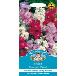 Seminte MATTHIOLA incana-Stock- Brompton Mix -Mixandre