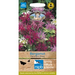 Seminte MONARDA didyma-Bergamot- Panorama Mixed -Menta indiana, Bergamot