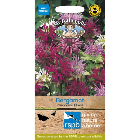 Seminte MONARDA didyma-Bergamot- Panorama Mixed -Menta indiana, Bergamot
