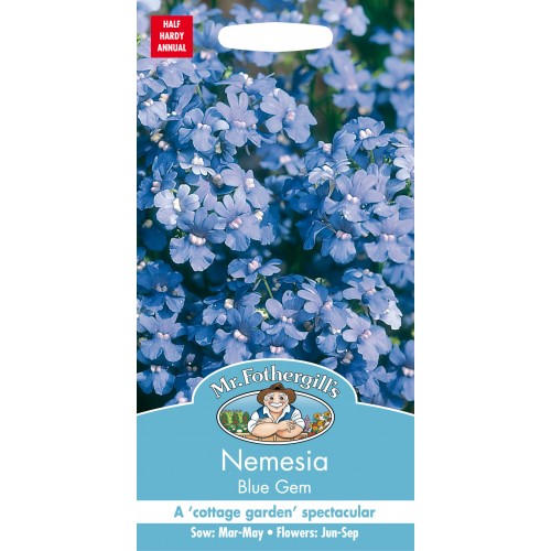 Seminte NEMESIA versicolor Blue Gem - Nemesia flori albastre