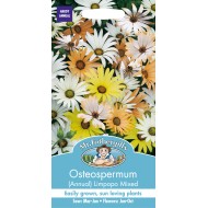 Seminte OSTEOSPERMUM-Dimorphoteca sinuata- (Annual) Limpopo Mixed -Margarete africane