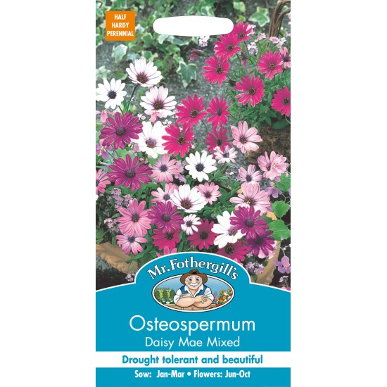 Seminte OSTEOSPERMUM ecklonis- Daisy Mae Mixed -Margarete africane Seminte OSTEOSPERMUM ecklonis- Daisy Mae Mixed -Margarete africane