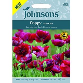 Seminte PAPAVER rhoeas-Poppy- Pandora -Mac