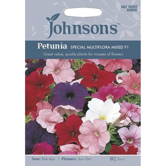 Seminte PETUNIA multiflora- Special Multiflora F1 Mixed -Petunia Seminte PETUNIA multiflora- Special Multiflora F1 Mixed -Petunia