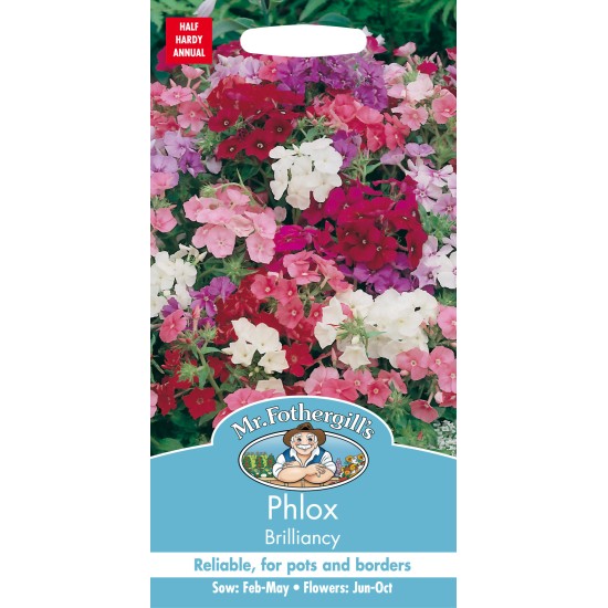 Seminte PHLOX drummondii- Brilliancy -Brumarele