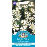 Seminte PHLOX capensis-Night Phlox- Midnight Candy -Brumarele de noapte parfumate