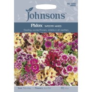 Seminte PHLOX drummondii- Tapestry (Mixed) -Brumarele bi si tricolore Seminte PHLOX drummondii- Tapestry (Mixed) -Brumarele bi si tricolore