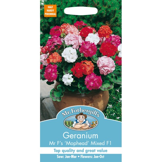 Seminte PELARGONIUM zonale-Geranium- Mr F's Mophead Mixed F1 -Muscate  Seminte PELARGONIUM zonale-Geranium- Mr F's Mophead Mixed F1 -Muscate
