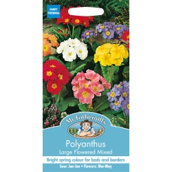 Seminte PRIMULA vulgaris-Polyanthus- Large Flowered Mixed -Ciubotica cucului Seminte PRIMULA vulgaris-Polyanthus- Large Flowered Mixed -Ciubotica cucului