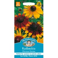 Seminte RUDBECKIA hirta- Gloriosa Daisies -Ruji Seminte RUDBECKIA hirta- Gloriosa Daisies -Ruji
