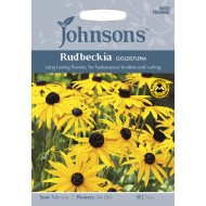 Seminte RUDBECKIA fulgida- Goldsturm -Ruji, Margarete galbene