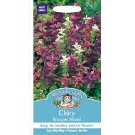 Seminte SALVIA viridis-Clary- Bouquet Mixed -Salvia decorativa Seminte SALVIA viridis-Clary- Bouquet Mixed -Salvia decorativa