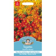 Seminte TAGETES tenuifolia- Starfire Mixed -Craite melifere comestibile 