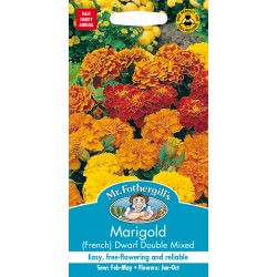Seminte TAGETES patula-Marigold French- Dwarf Double Mixed -Craite pitice Seminte TAGETES patula-Marigold French- Dwarf Double Mixed -Craite pitice