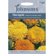Seminte TAGETES erecta-Marigold African- Double Mixed -Craite inalte