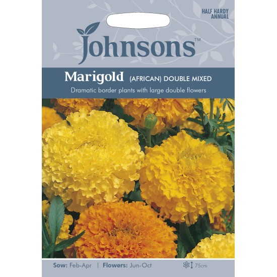 Seminte TAGETES erecta-Marigold African- Double Mixed -Craite inalte