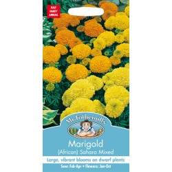 Seminte TAGETES erecta-Marigold African- Sahara Mixed -Craite pitice Seminte TAGETES erecta-Marigold African- Sahara Mixed -Craite pitice