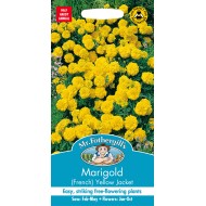 Seminte TAGETES patula-Marigold French- Yellow Jacket -Craite pitice