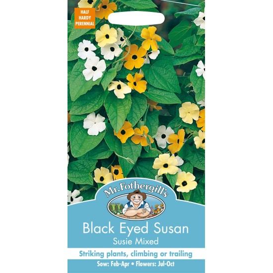 Seminte THUNBERGIA alata-Black Eye Susan- Susie Mixed (foth) -Suzana cu ochi negri Seminte THUNBERGIA alata-Black Eye Susan- Susie Mixed (foth) -Suzana cu ochi negri