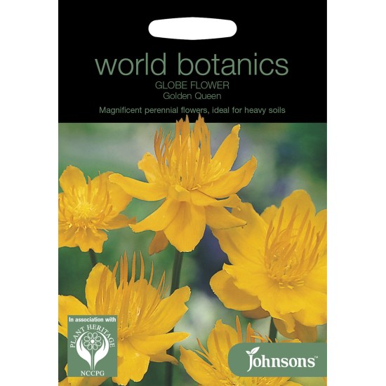 Seminte TROLLIUS chinensis-Globe Flower- Golden Queen -Bulbuc de munte Seminte TROLLIUS chinensis-Globe Flower- Golden Queen -Bulbuc de munte