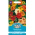 Seminte TROPAEOLUM majus-Nasturtium nanum- Jewel Mixed -Caltunasi comestibili