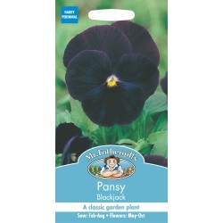 Seminte VIOLA wittrockiana-Pansy- Blackjack -Panselute negre Seminte VIOLA wittrockiana-Pansy- Blackjack -Panselute negre