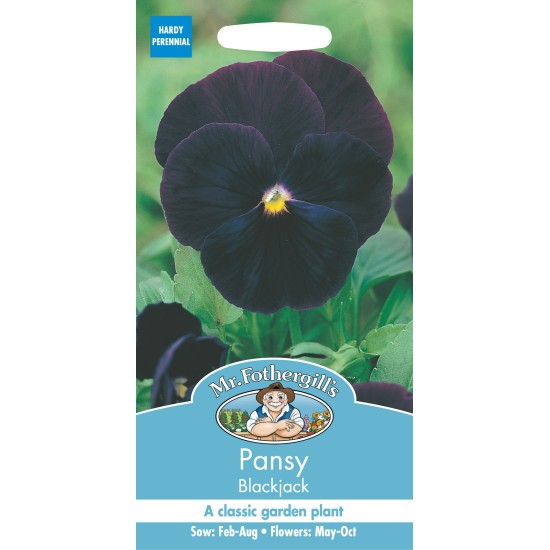 Seminte VIOLA wittrockiana-Pansy- Blackjack -Panselute negre Seminte VIOLA wittrockiana-Pansy- Blackjack -Panselute negre