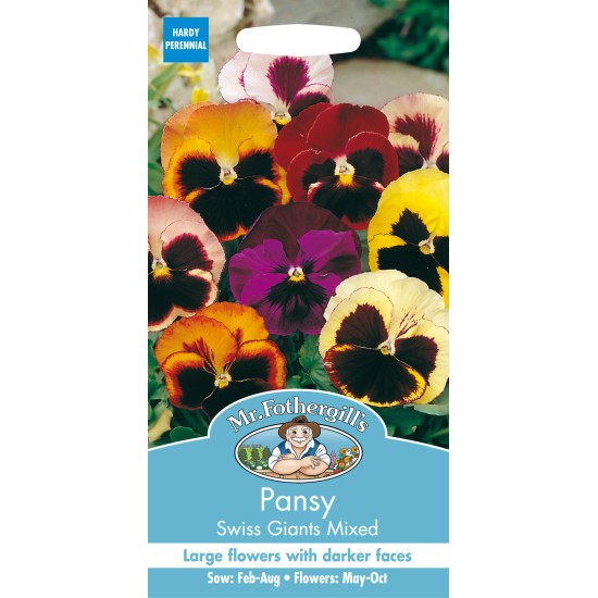 Seminte VIOLA wittrockiana-Pansy- Swiss Giant Mix -Panselute mari Seminte VIOLA wittrockiana-Pansy- Swiss Giant Mix -Panselute mari
