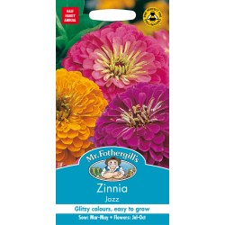 Seminte ZINNIA elegans- Jazz (Mix) -Carciumarese cu flori mari  Seminte ZINNIA elegans- Jazz (Mix) -Carciumarese cu flori mari