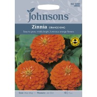 Seminte ZINNIA elegans- Orange King -Carciumarese cu flori mari  Seminte ZINNIA elegans- Orange King -Carciumarese cu flori mari
