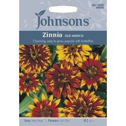 Seminte ZINNIA haageana- Old Mexico -Carciumarese de bodura, batute Seminte ZINNIA haageana- Old Mexico -Carciumarese de bodura, batute