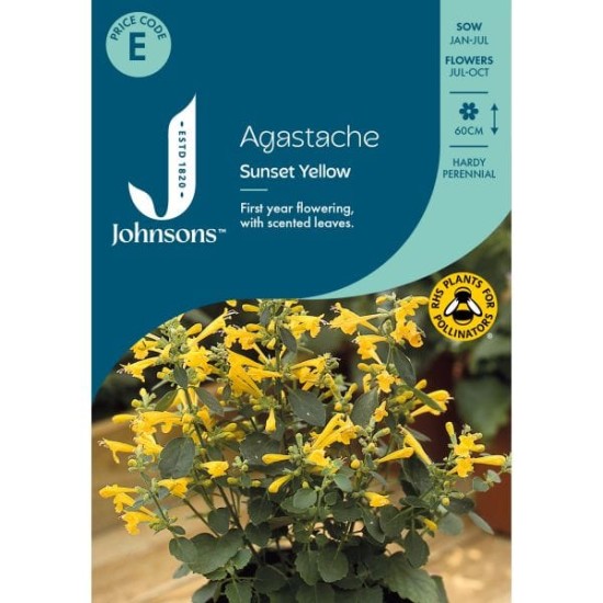 Seminte AGASTACHE aurantiaca- Sunset Yellow -Menta mexicana