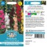 Seminte ALCEA rosea-Hollyhock- Chartes Double Mixed -Nalba de gradina