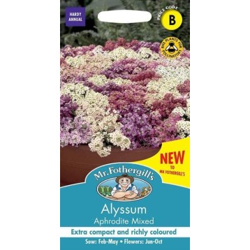 Seminte ALYSSUM maritima-Lobularia- Aphrodite Mixed -Ciucusoara amestec