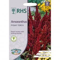 Seminte AMARANTHUS hypochondriacus- Pygmy Torch -Motul curcanului