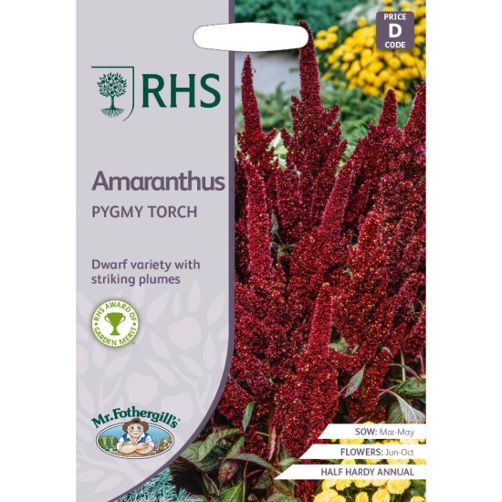 Seminte AMARANTHUS hypochondriacus- Pygmy Torch -Motul curcanului
