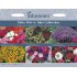 Seminte MIXED ANNUAL Collection- Patio Pots & Tubs  -6 varietati pt ghivece sau borduri