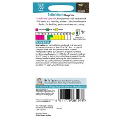 Seminte ANTIRRHINUM majus- Mango Twist -Gura Leului Seminte ANTIRRHINUM majus- Mango Twist -Gura Leului