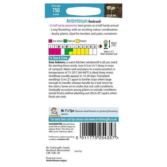 Seminte ANTIRRHINUM majus- Rembrandt -Gura Leului