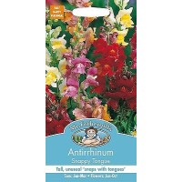 Seminte ANTIRRHINUM majus- Snappy Tongue -Gura Leului