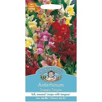 Seminte ANTIRRHINUM majus- Snappy Tongue -Gura Leului