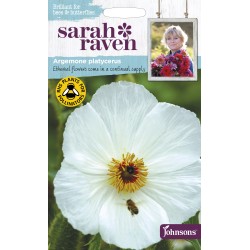 Seminte ARGEMONE platycerus- Prickly Poppy -Mac intepator Seminte ARGEMONE platycerus- Prickly Poppy -Mac intepator