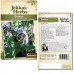 Seminte BORAGO officinalis-Herbs Borage- Blue Flowering -Limba mielului