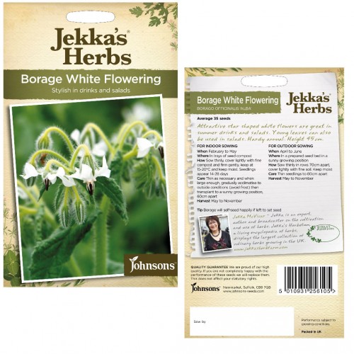 Seminte BORAGO officinalis-Herbs Borage- White Flowering -Limba mielului