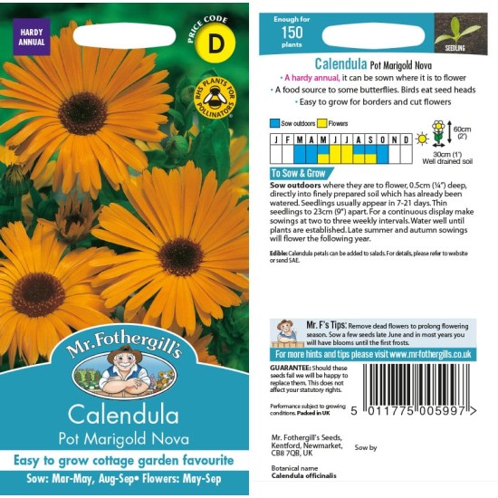 Seminte CALENDULA officinalis- Pot Marigold Nova -Galbenele