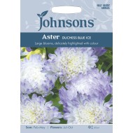 Seminte CALLISTEPHUS chinensis-Aster- Duchess Blue Ice -Ochiul boului