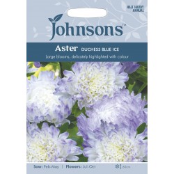 Seminte CALLISTEPHUS chinensis-Aster- Duchess Blue Ice -Ochiul boului