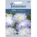 Seminte CALLISTEPHUS chinensis-Aster- Duchess Blue Ice-Ochiul boului