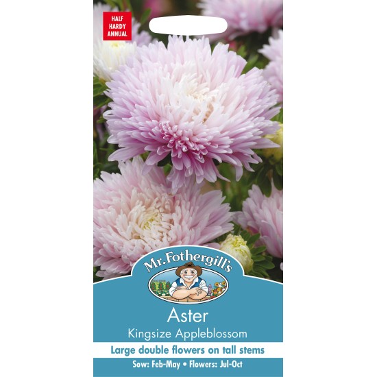 Seminte CALLISTEPHUS chinensis-Aster- Kingsize Appleblossom -Ochiul boului