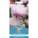 Seminte CALLISTEPHUS chinensis-Aster- Kingsize Appleblossom -Ochiul boului